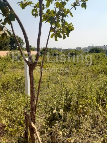 OPEN PLOT FOR SALE IN SAI