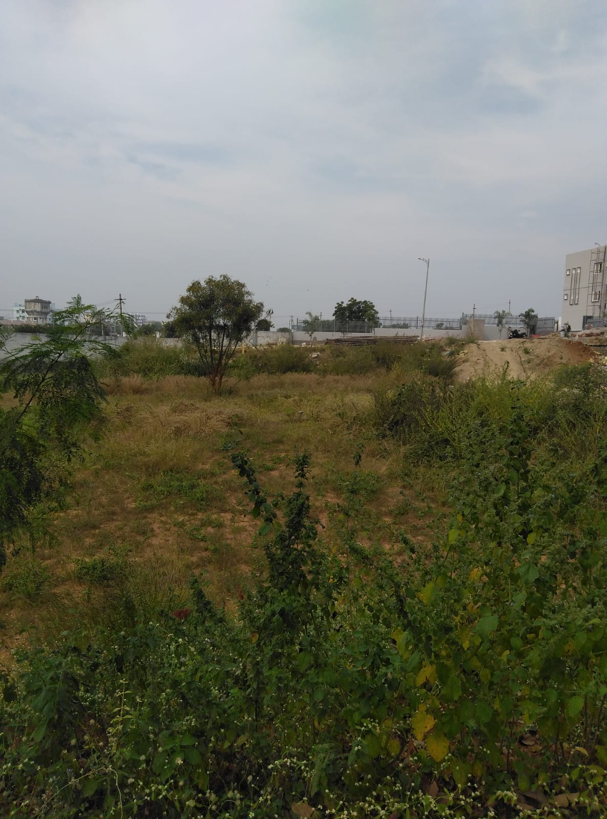 OPEN PLOT FOR SALE AT BAN