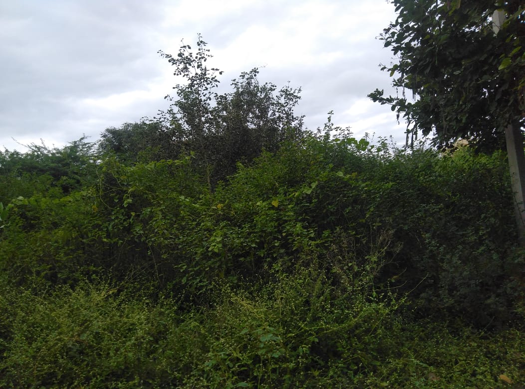 OPEN PLOT FOR SALE AT  BA
