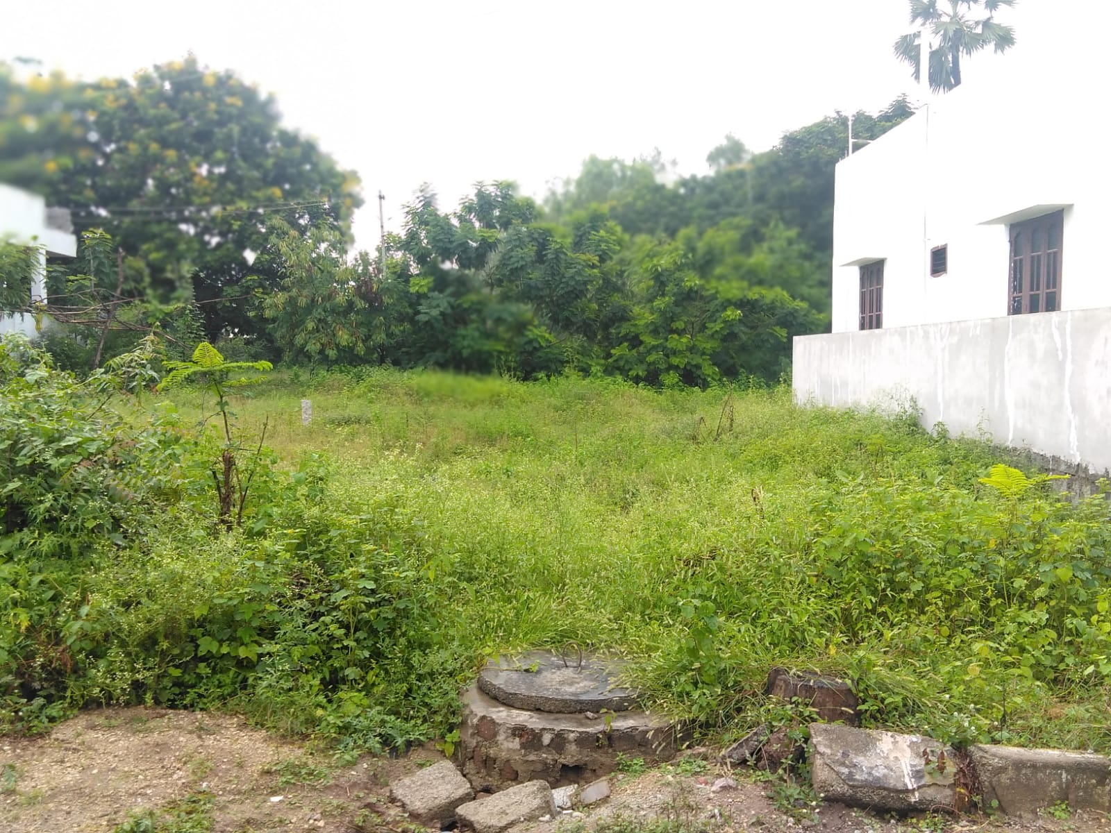 OPEN PLOT FOR SALE AT  BO