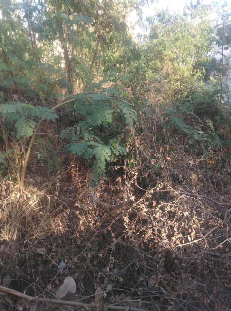 OPEN PLOT FOR SALE AT MAN