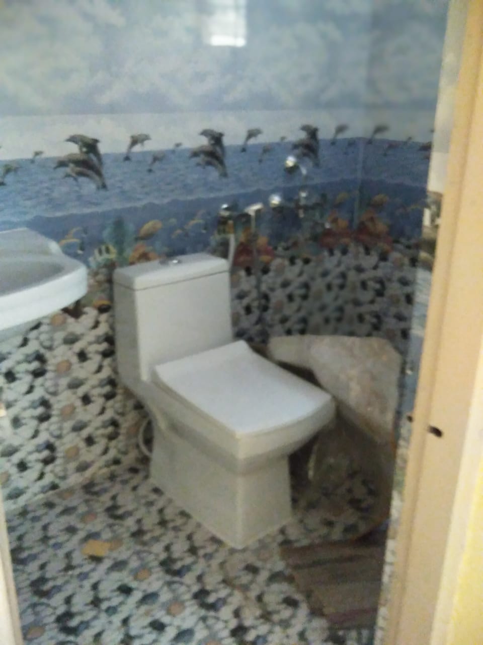 3 BHK  Flat For sale in Y