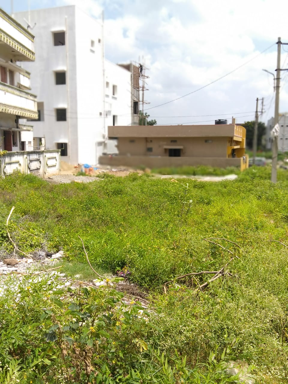 3 BHK Independent House  