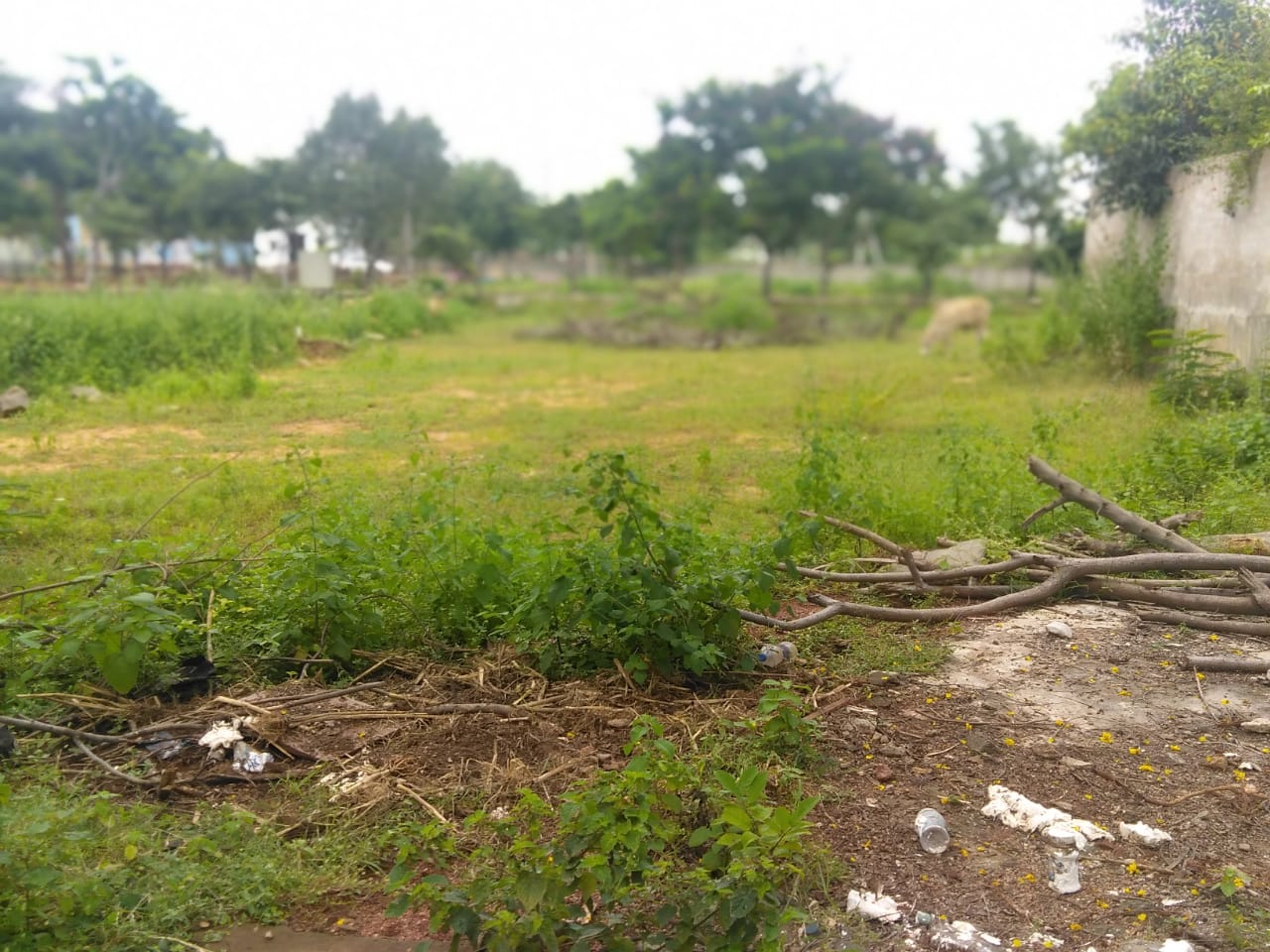 Open Plot for sale in  Sh