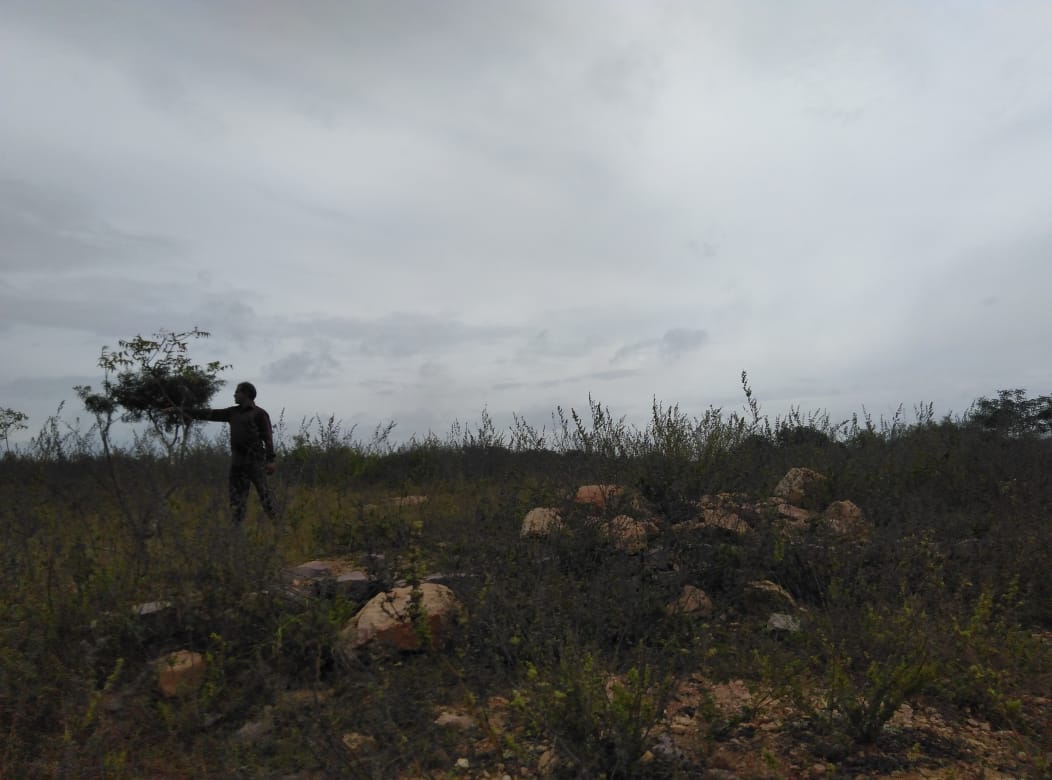 Open Plot for sale in  Ya