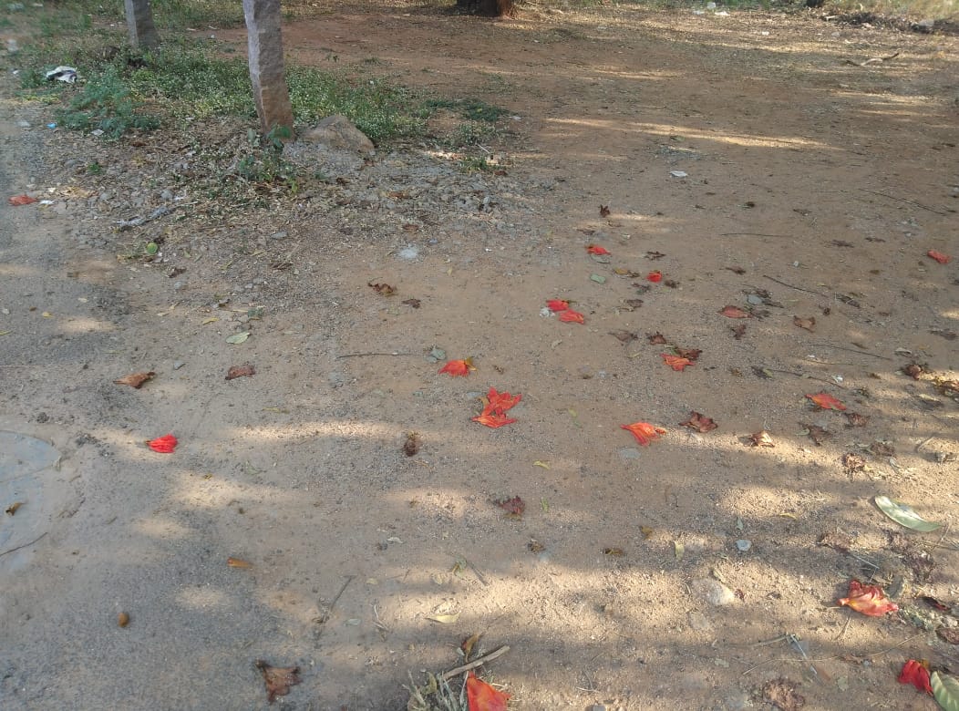 Open plot for sale in Kuk