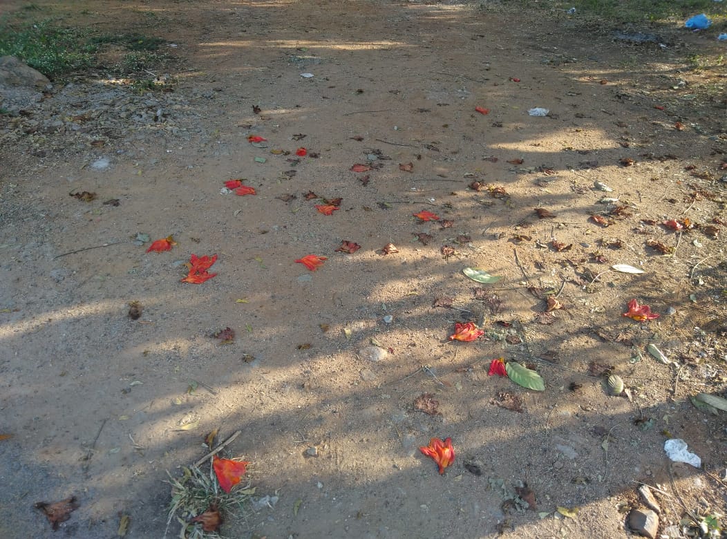 Open plot for sale in Kuk