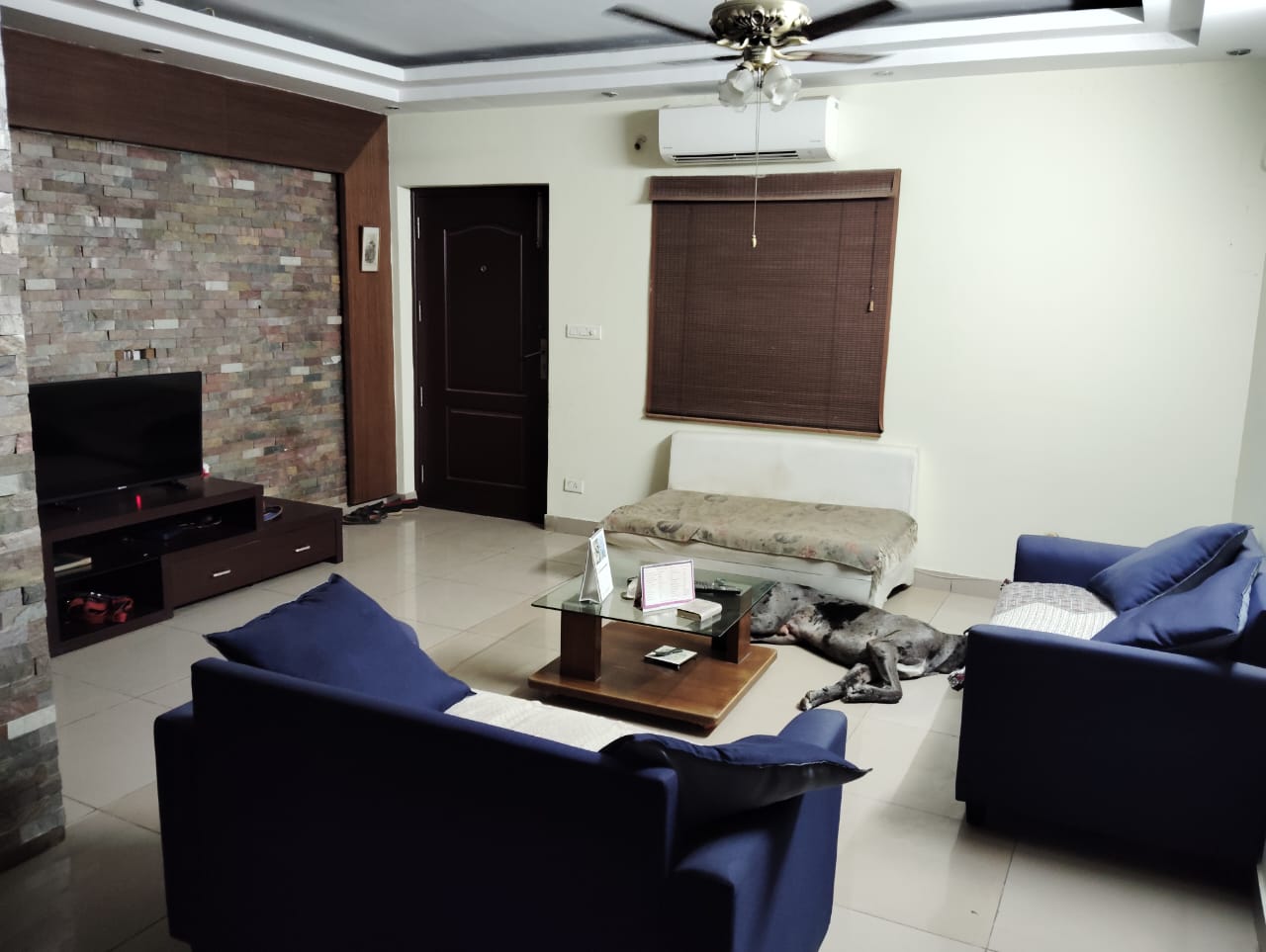 3 BHK Flat for sale in Ya
