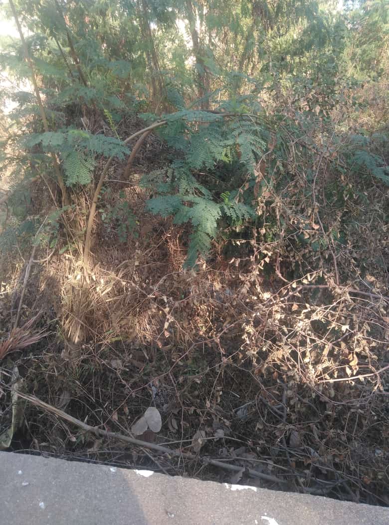 Open plot for sale in Sha