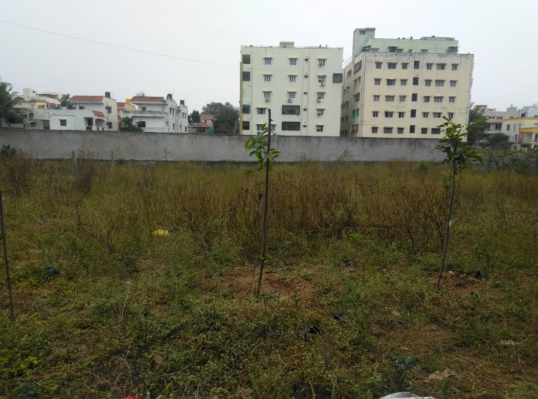 Open Plot for sale in Bol